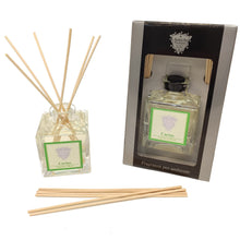 Carica l'immagine nel visualizzatore di Gallery, Cactus