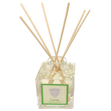 Carica l'immagine nel visualizzatore di Gallery, Cactus